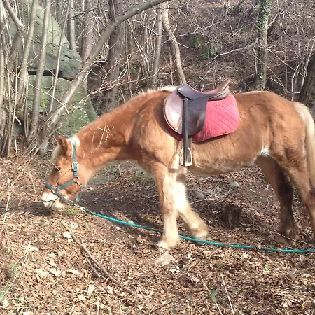 Lantgård Ca Dell'alpe *