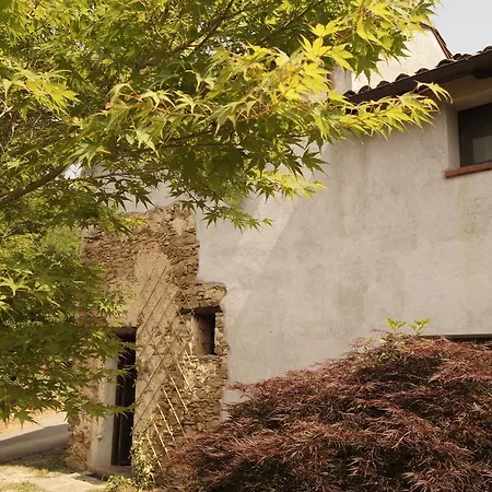 Ca Dell'alpe * Rialto