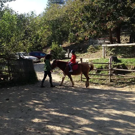 Çiftlik konaklama Ca Dell'alpe *