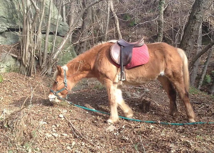 Lantgård Ca Dell'alpe *